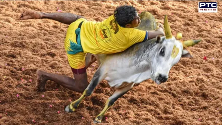 तमिलनाडु के मंजुविरट्टू प्रतियोगिता में हादसा, नाबालिग समेत 2 लोगों की मौत | Action Punjab