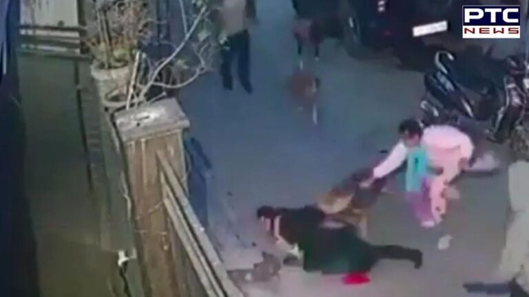 Pet dog attacks 2-year-old, mother falls rescuing; watch visuals | Action Punjab