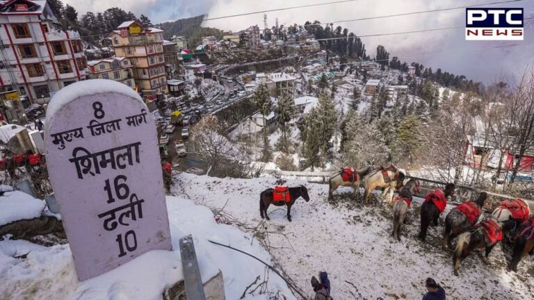 WATCH VISUALS | Himachal Pradesh snowfall: Shimla turns into winter wonderland | Action Punjab