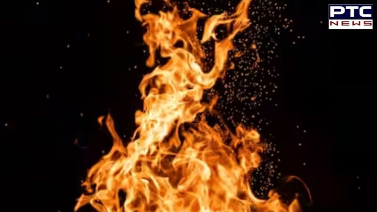 यमुनानगर में प्लाइवुड फैक्ट्री में भयंकर आग लगने से हुआ 15 से 20 लाख रुपए का नुकसान | Action Punjab