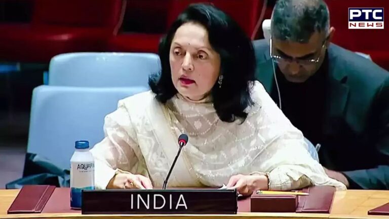 India strongly condemns Veto hindrance of UNSC terrorist listings, calls for transparent reform | Action Punjab