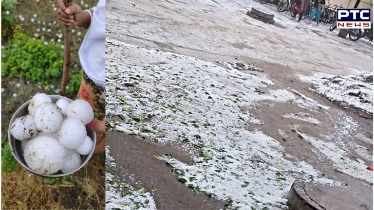 Punjab and Haryana hit by hailstorm; farmers fear extensive damage to crops | Action Punjab