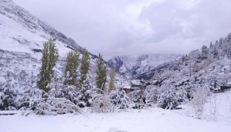 हिमाचल में बर्फबारी से 350 सड़कें बंद, मौसम विभाग ने 8 जिलों में जारी किया अलर्ट | Action Punjab