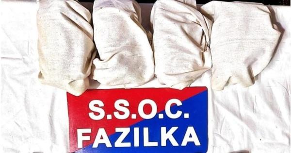 ਫਾਜ਼ਿਲਕਾ ਵਿੱਚ ਸਰਹੱਦ ਪਾਰੋਂ ਚੱਲ ਰਹੇ ਤਸਕਰੀ ਨੈੱਟਵਰਕ ਦਾ ਪਰਦਾਫਾਸ਼; 2.1 ਕਿਲੋਗ੍ਰਾਮ ਹੈਰੋਇਨ, 7 ਪਿਸਤੌਲਾਂ ਸਮੇਤ ਇੱਕ ਕਾਬੂ