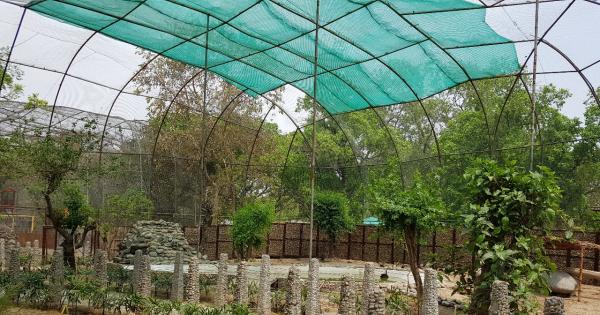 ਜੰਗਲੀ ਜੀਵਾਂ ਦੀ ਸੁਰੱਖਿਆ ਸਬੰਧੀ ਭਗਵੰਤ ਸਿੰਘ ਮਾਨ ਸਰਕਾਰ ਦੀਆਂ ਪਹਿਲਕਦਮੀਆਂ ਸਦਕਾ 2 ਮਹੀਨਿਆਂ ਵਿੱਚ 80,508 ਸੈਲਾਨੀਆਂ ਦੀ ਹੋਈ ਆਮਦ: ਲਾਲ ਚੰਦ ਕਟਾਰੂਚੱਕ