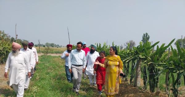 ਪੰਜਾਬ – ਨਾਬਾਰਡ ਵੱਲੋਂ ਵਿੱਤਪੋਸ਼ਿਤ ਪ੍ਰੋਜੈਕਟ  ਦੇ ਤਹਿਤ ਕਿਸਾਨਾਂ ਦਾ ਇੱਕ ਐਕਸਪੋਜ਼ਰ ਦੌਰਾ