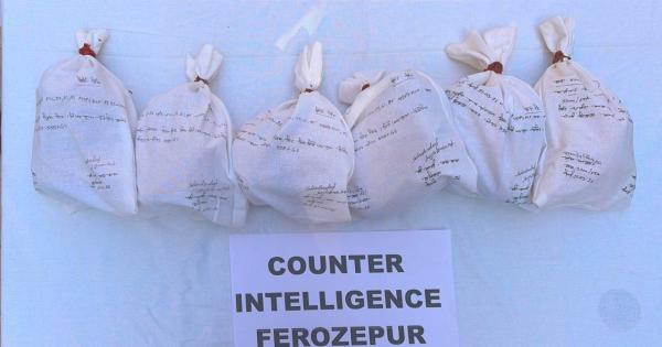 ਫਾਜ਼ਿਲਕਾ ਵਿੱਚ ਸਰਹੱਦ ਪਾਰੋਂ ਤਸਕਰੀ ਦੀ ਕੋਸ਼ਿਸ਼ ਨਾਕਾਮ; 6.5 ਕਿਲੋਗ੍ਰਾਮ ਹੈਰੋਇਨ ਬਰਾਮਦ