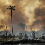 ਜੰਗਲਾਂ ਨੂੰ ਅੱਗ ਲਗਾਈ ਤਾਂ ਖੈਰ ਨਹੀਂ: ਪ੍ਰਸ਼ਾਸਨ ਹੋਇਆ ਸਖ਼ਤ