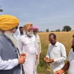 ਖੇਤੀਬਾੜੀ ਮੰਤਰੀ ਨੇ ਪਿੰਡ ਚੰਨੂ ਵਿਖੇ ਹੋਏ ਫਸਲਾਂ ਦੇ ਨੁਕਸਾਨ ਦਾ ਲਿਆ ਜਾਇਜ਼ਾ