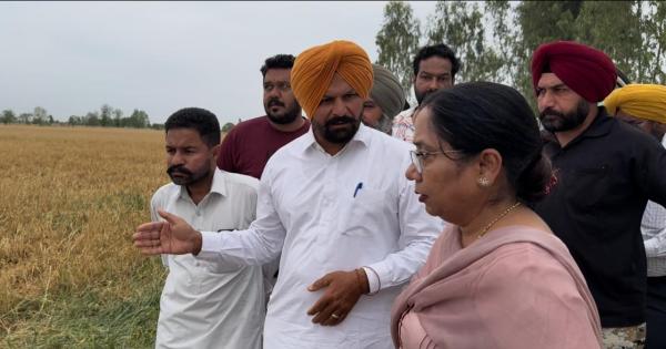 ਕੈਬਨਿਟ ਮੰਤਰੀ ਡਾ. ਬਲਜੀਤ ਕੌਰ ਨੇ ਗੜ੍ਹੇਮਾਰੀ ਨਾਲ ਹੋਏ ਨੁਕਸਾਨ ਦਾ ਲਿਆ ਜਾਇਜ਼ਾ
