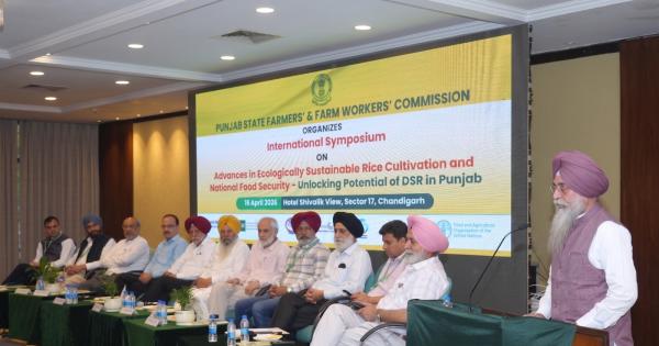 ਪੀ.ਐਸ.ਐਫ.ਸੀ. ਵੱਲੋਂ "ਵਾਤਾਵਰਣ ਅਨੁਕੂਲ ਢੰਗਾਂ ਨਾਲ ਚੌਲਾਂ ਦੀ ਕਾਸ਼ਤ ‘ਚ ਪ੍ਰਗਤੀ ਅਤੇ ਰਾਸ਼ਟਰੀ ਖੁਰਾਕ ਸੁਰੱਖਿਆ" ਵਿਸ਼ੇ 'ਤੇ ਇੱਕ ਰੋਜ਼ਾ ਅੰਤਰਰਾਸ਼ਟਰੀ ਸਿੰਪੋਜ਼ੀਅਮ ਦਾ ਆਯੋਜਨ