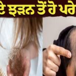 ਵਾਲਾਂ ਦੇ ਝੜਨ ਤੋਂ ਹੋ ਪਰੇਸ਼ਾਨ? ਅਪਣਾਓ ਇਹ 5 ਕੁਦਰਤੀ ਤਰੀਕੇ, ਵਾਲ ਹੋਣਗੇ ਲੰਬੇ, ਕਾਲੇ ਅਤੇ ਘਣੇ