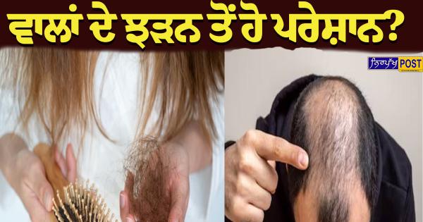 ਵਾਲਾਂ ਦੇ ਝੜਨ ਤੋਂ ਹੋ ਪਰੇਸ਼ਾਨ? ਅਪਣਾਓ ਇਹ 5 ਕੁਦਰਤੀ ਤਰੀਕੇ, ਵਾਲ ਹੋਣਗੇ ਲੰਬੇ, ਕਾਲੇ ਅਤੇ ਘਣੇ