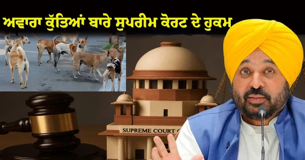 ਅਵਾਰਾ ਕੁੱਤਿਆਂ ਬਾਰੇ ਸੁਪਰੀਮ ਕੋਰਟ ਦੇ ਹੁਕਮਾਂ ਨੂੰ ਪੰਜਾਬ ਸਰਕਾਰ ਪੂਰੇ ਸੂਬੇ ਵਿੱਚ ਇੰਨ-ਬਿੰਨ ਲਾਗੂ ਕਰੇਗੀ: ਮੁੱਖ ਮੰਤਰੀ ਭਗਵੰਤ ਸਿੰਘ ਮਾਨ