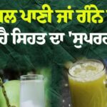 "ਨਾਰੀਅਲ ਪਾਣੀ ਜਾਂ ਗੰਨੇ ਦਾ ਰਸ: ਗਰਮੀਆਂ ਵਿੱਚ ਕੌਣ ਹੈ ਸਿਹਤ ਦਾ ਅਸਲੀ 'ਸੁਪਰਹੀਰੋ'? ਜਾਣੋ ਹੈਰਾਨ ਕਰਨ ਵਾਲੇ ਤੱਥ!"