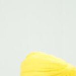 ਲੁਧਿਆਣਾ ਸ਼ਹਿਰ ਨੂੰ 30 ਜੂਨ ਤੱਕ ਸੜਕਾਂ ਦੇ ਟੋਇਆਂ ਅਤੇ ਮੈਨਹੋਲ ਮੁਕਤ ਬਣਾਇਆ ਜਾਵੇ